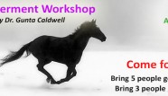 empowerment workshop 3